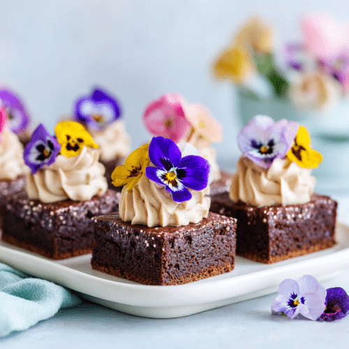 Chocolate Fudge Brownies with Mocha Whip and Edible Flowers