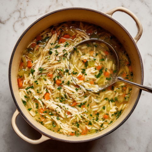 Chicken Orzo Soup