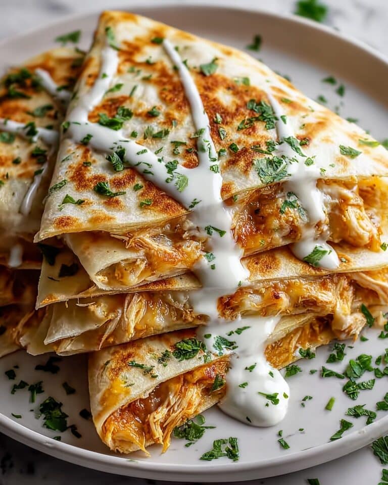 Family Favorite Chicken Quesadilla Recipe