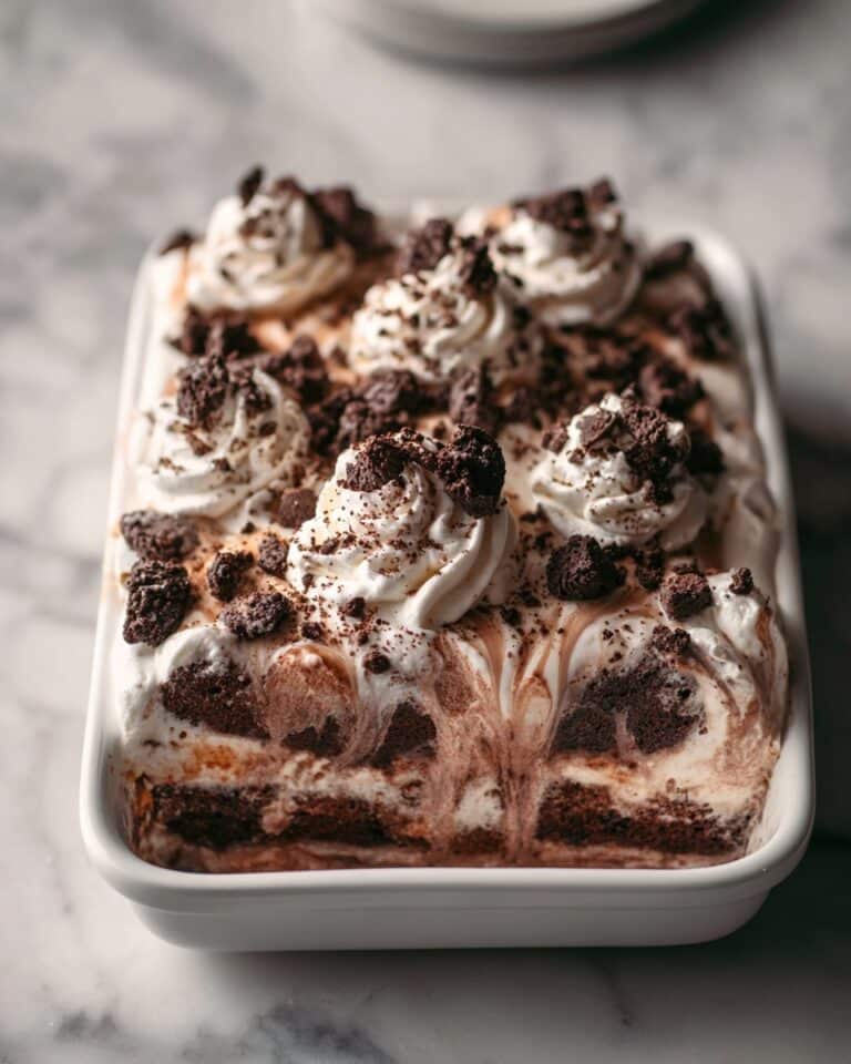 Moose Tracks Ice Cream Cake Recipe